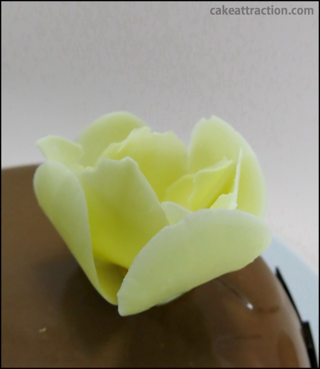 Mousse y Baño de Chocolate 9